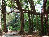 Jardín Botánico - SAN JUAN